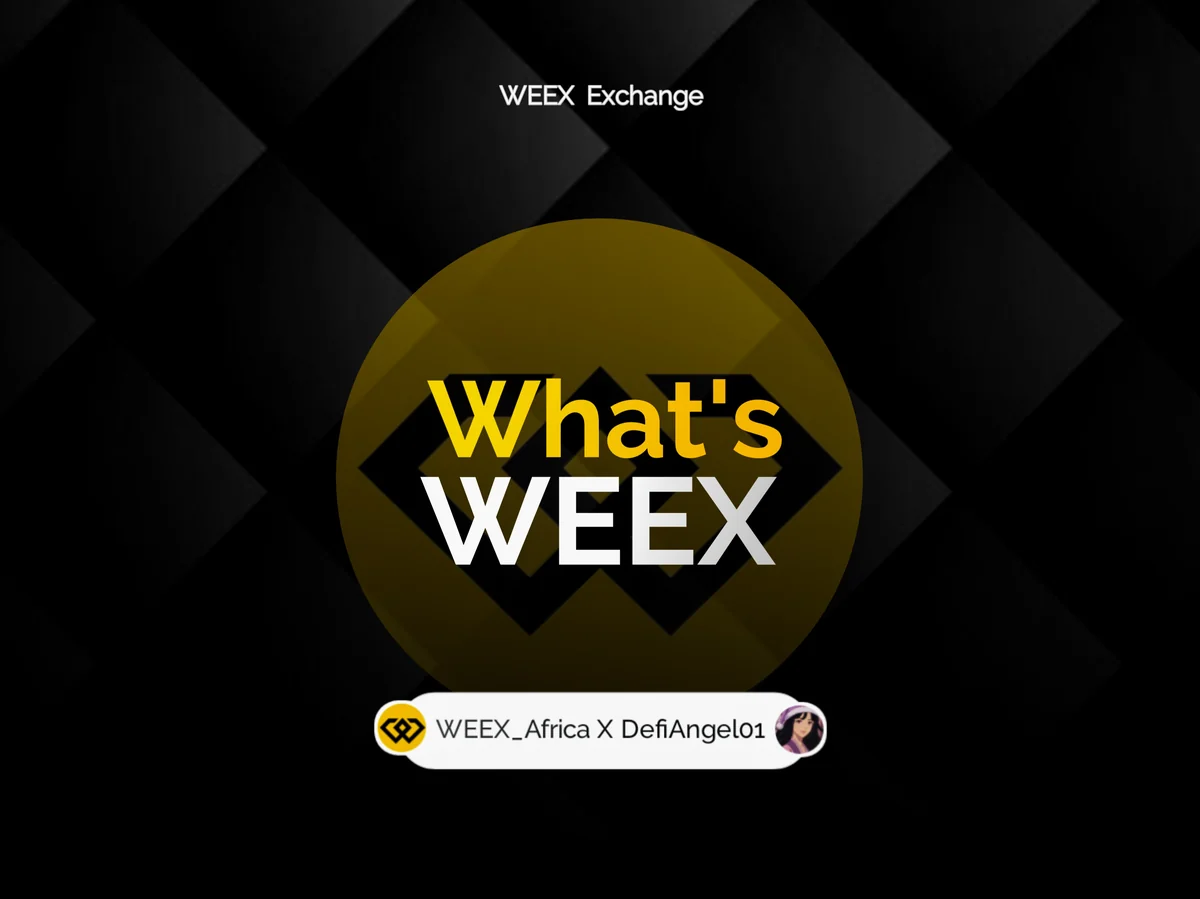 Dark WEEX Exchange introduction graphic